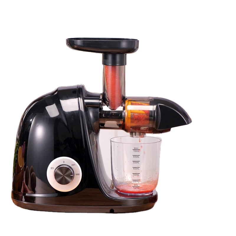 Electric Slow Juicer Cold Press - 2026-Zwarte Horizontale Slow Juicer Hoge Kwaliteit