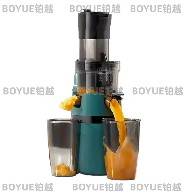 Electric Slow Juicer Cold Press - Grote kaliber slowjuicer koude pers extractor