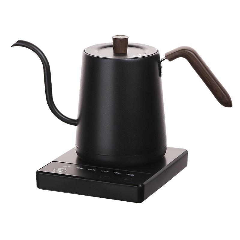 Electric Kettle Temperature Control - Elektrische gooseneck waterkoker van roestvrij staal