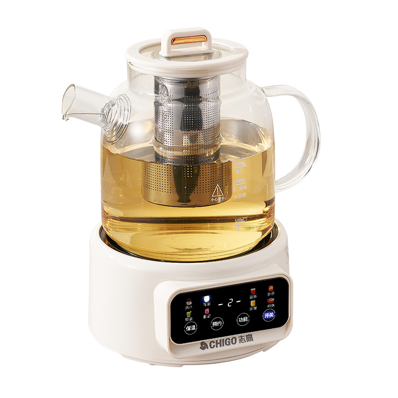 Electric Kettle Temperature Control - 600W Multifunctionele Gezondheidsketel Temperatuurregeling Glazen Bloementheepot
