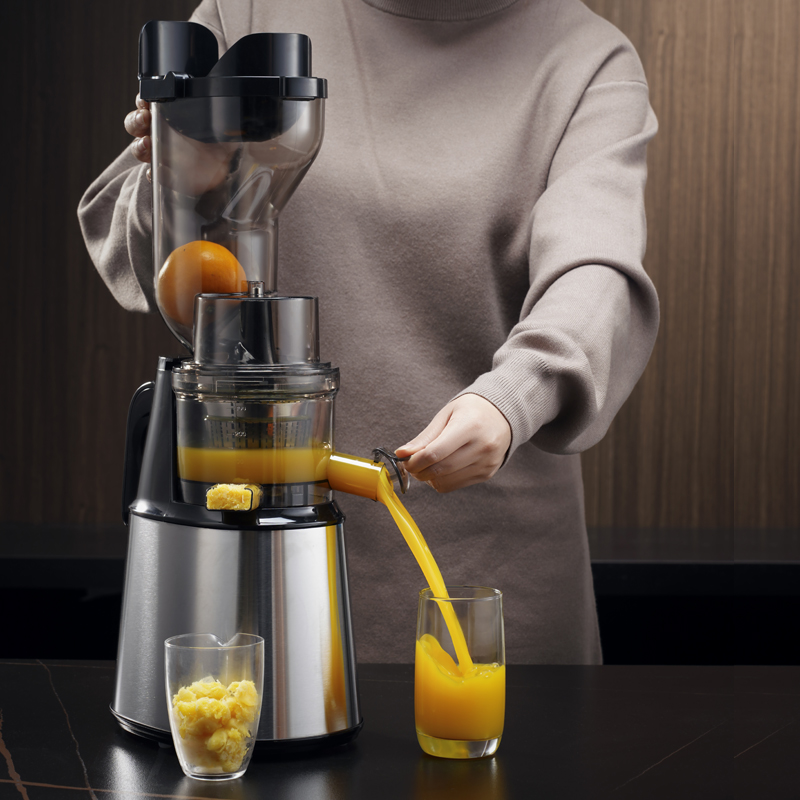Groente- en fruitpers, commerc - Electric Slow Juicer Cold Press recensie en prijs