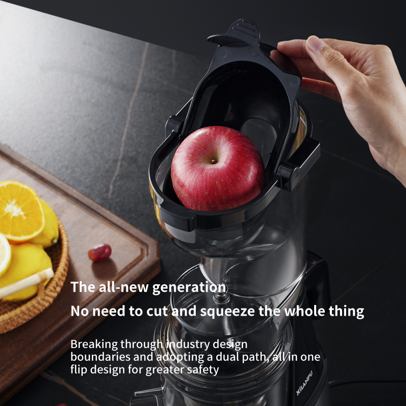 Groente- en fruitpers, commerc - Electric Slow Juicer Cold Press recensie en prijs