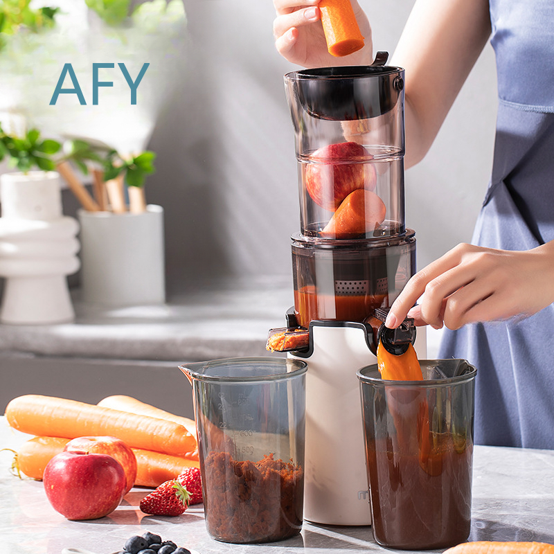 220V Elektrische slowjuicer vo - Electric Slow Juicer Cold Press recensie en prijs