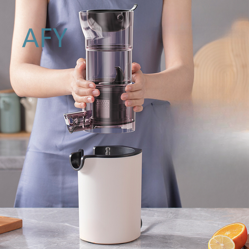 220V Elektrische slowjuicer vo - Electric Slow Juicer Cold Press recensie en prijs