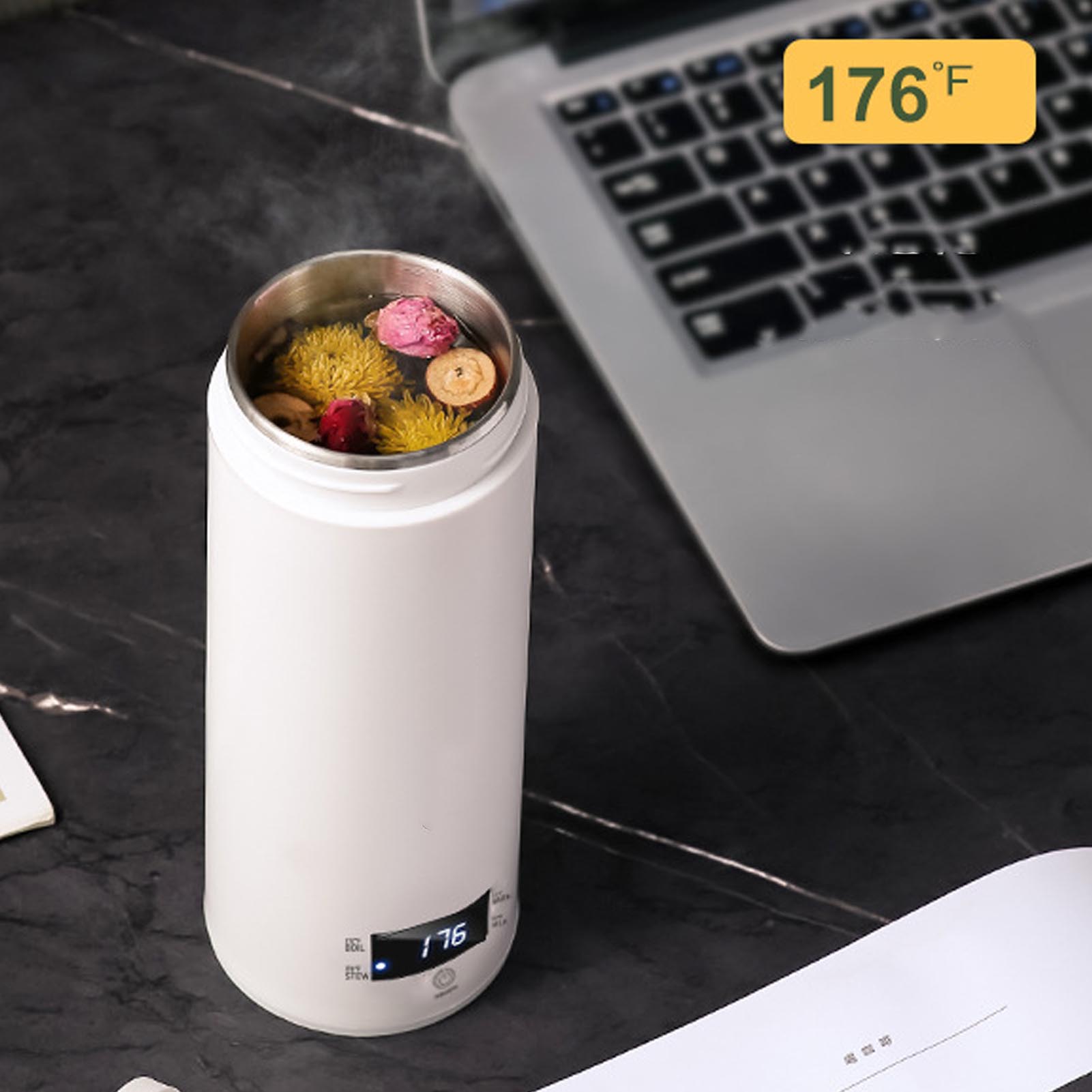 Mini draagbare elektrische wat - Electric Kettle Temperature Control recensie en prijs